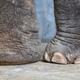 Image for article titled This One’s Just For The Foot Fetishists